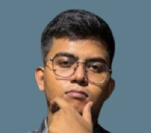 Cohort member role: Consultant